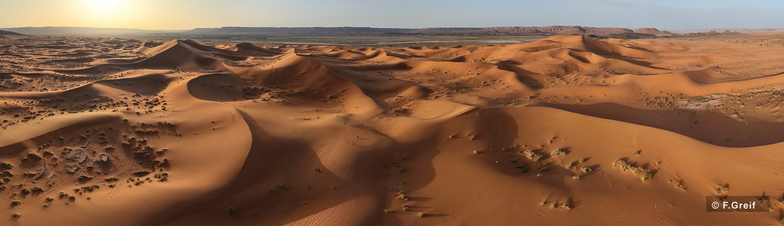 Weite Sanddünen im warmen Abendlicht